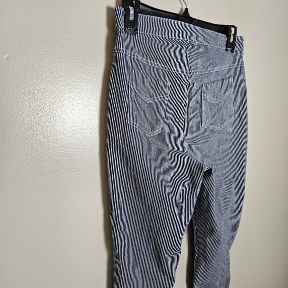 Cupcakes and Cashmere Pinstripe Wren Skinny Ankle Pants Sz 0 - Picture 8 of 12